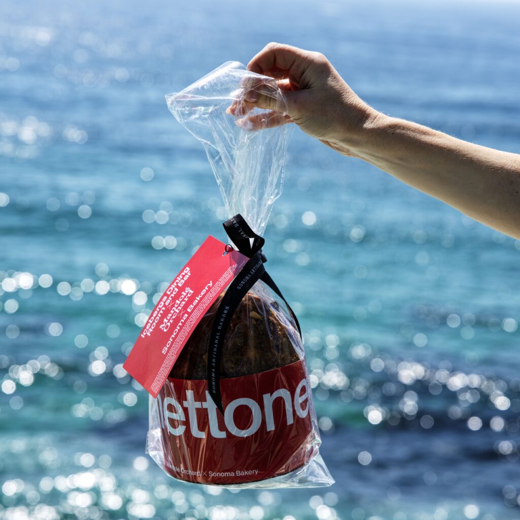 Hand holding an Icebergs panettone by the ocean