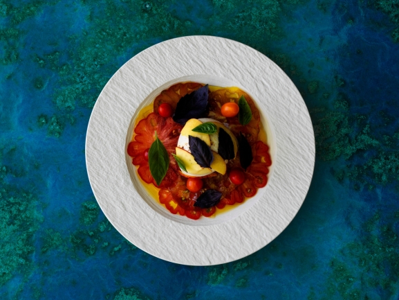 Tomato and basil dish plated on a white plate over a teal surface